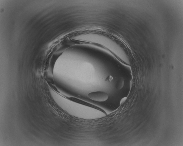 X0000081470920200701121415