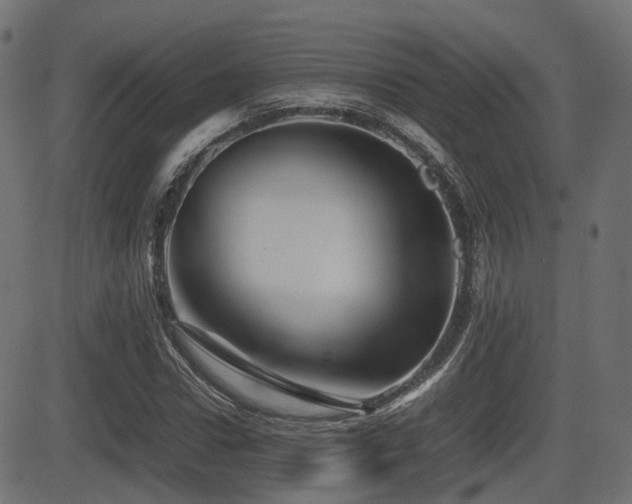 X0000081470922200701121415