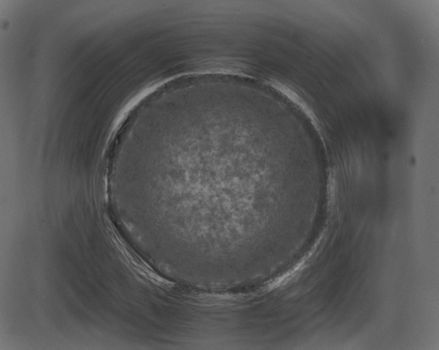X0000081470925200701121415