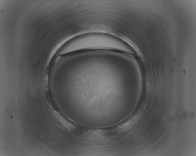 X0000081470926200701121415