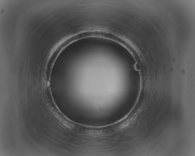 X0000081470927200701121415