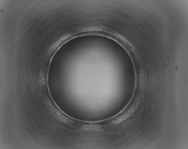 X0000081470929200701121415