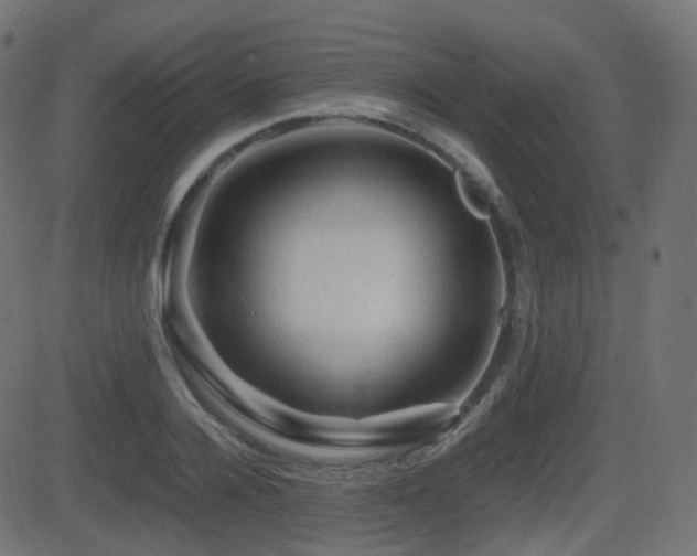 X0000081470936200701121415