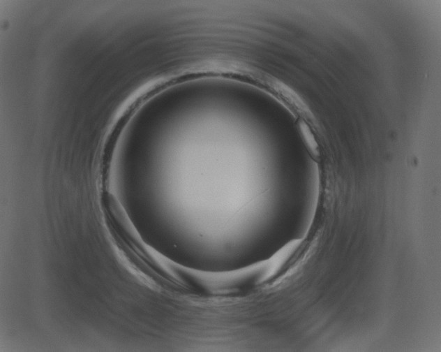 X0000081470942200701121415
