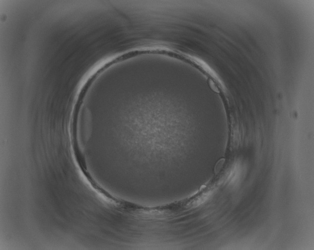 X0000081470943200701121415