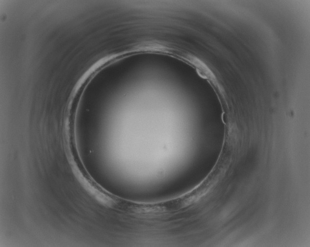 X0000081470947200701121416