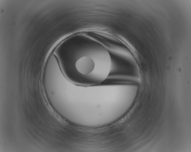 X0000081470948200701121416