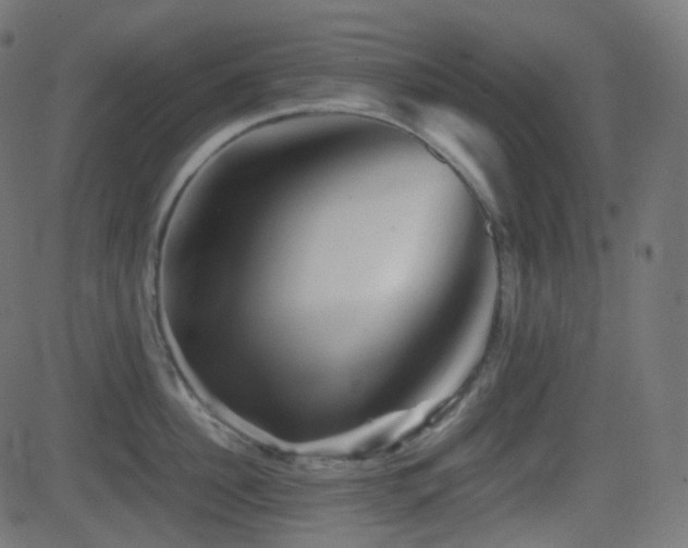 X0000081470956200701121416