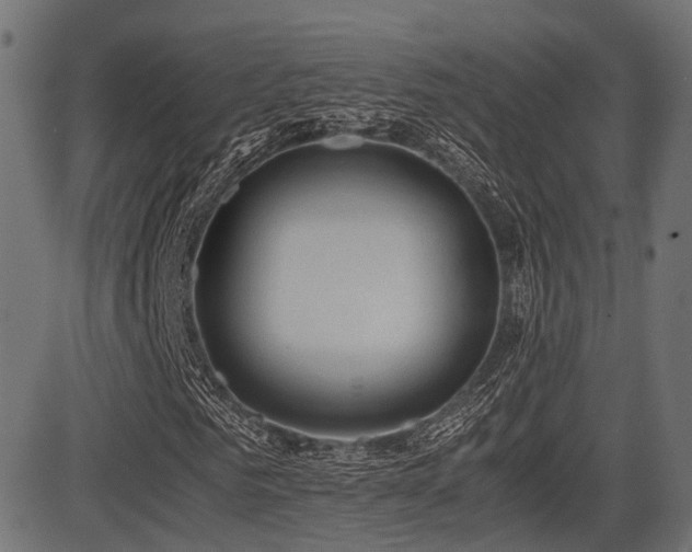 X0000081470961200701121415