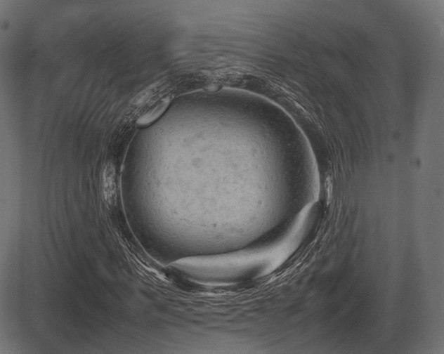 X0000081470963200701121415
