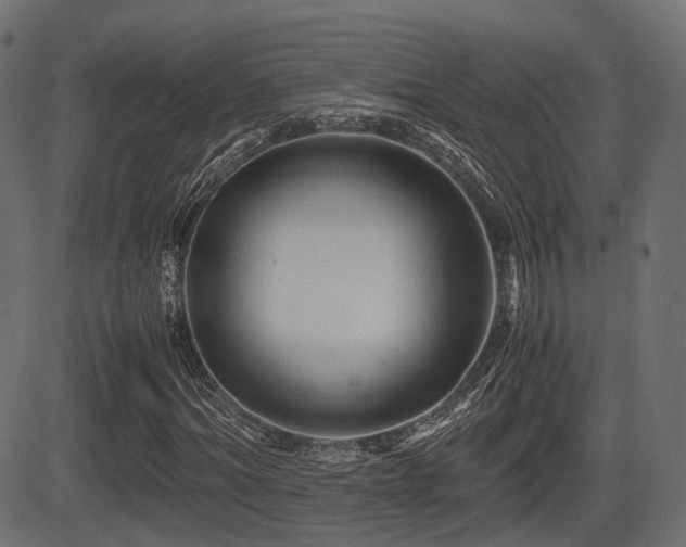 X0000081470964200701121415