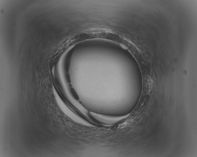X0000081470965200701121415