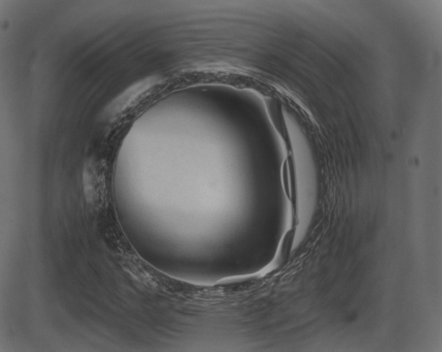 X0000081470968200701121415