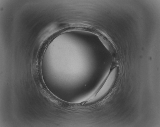 X0000081470971200701121415