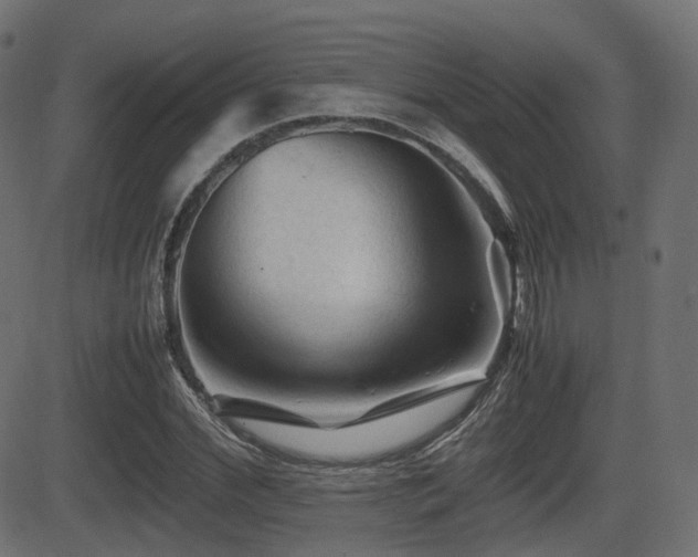 X0000081470972200701121415