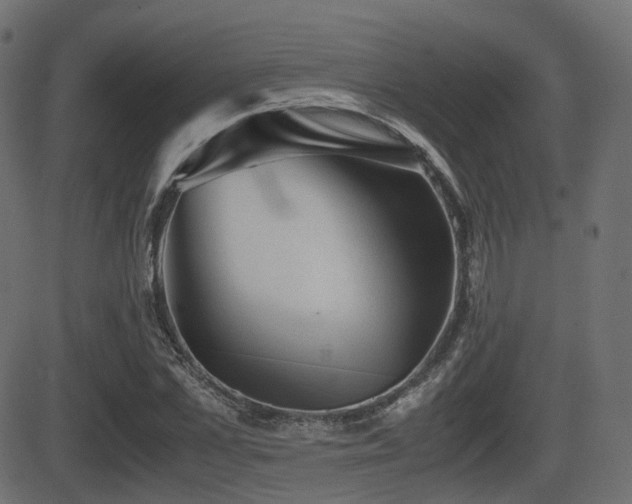X0000081470973200701121415