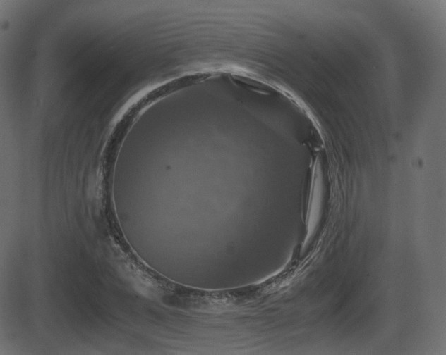 X0000081470975200701121415