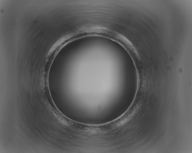 X0000081470978200701121415