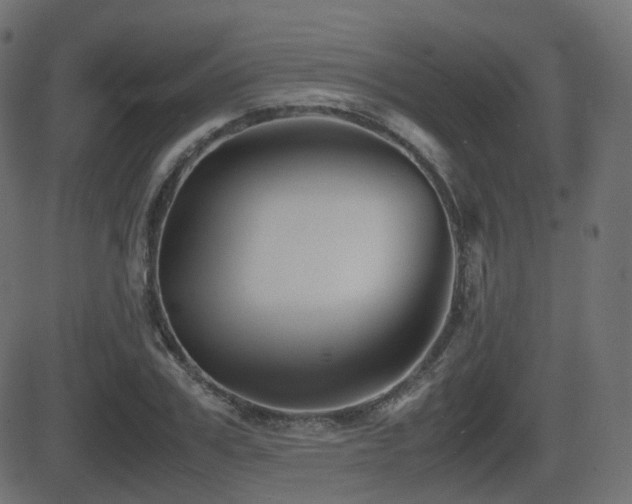 X0000081470979200701121415