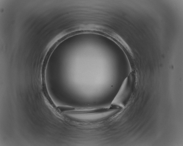 X0000081470980200701121415