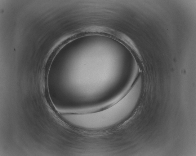 X0000081470984200701121415
