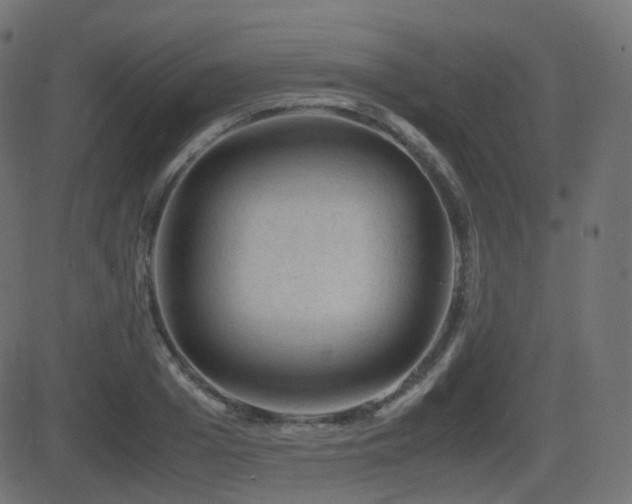 X0000081470985200701121415