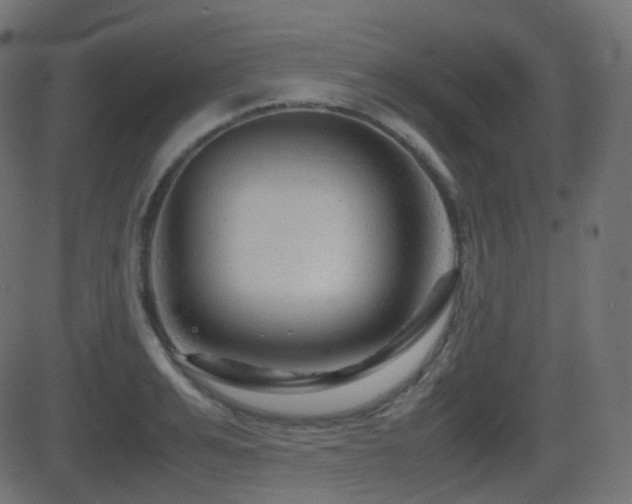 X0000081470991200701121414