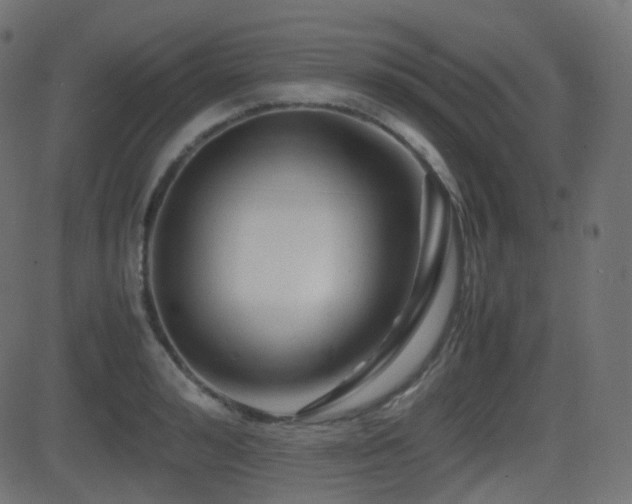 X0000081470992200701121414