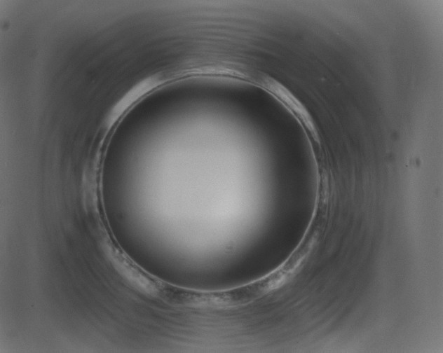 X0000081471002200701121414