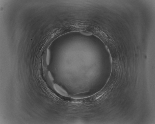 X0000081471009200701121413