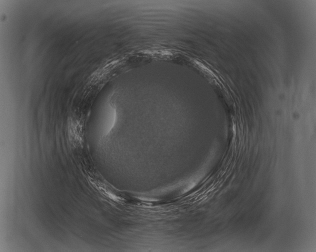 X0000081471010200701121413