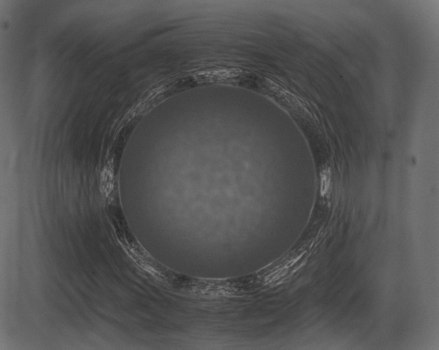 X0000081471011200701121413