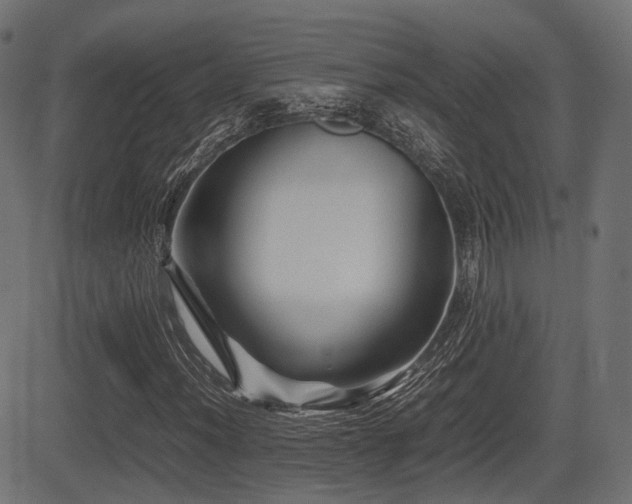 X0000081471012200701121413