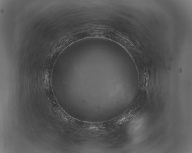 X0000081471013200701121413