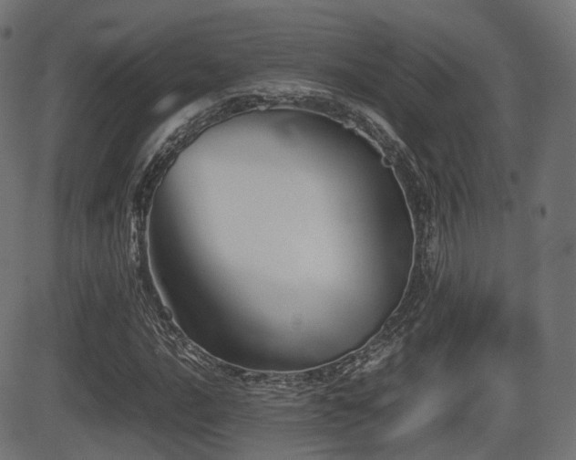 X0000081471016200701121414