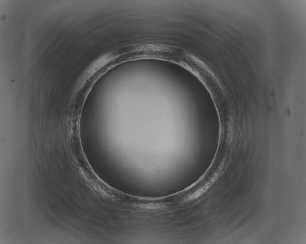 X0000081471017200701121414