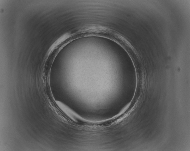 X0000081471018200701121414