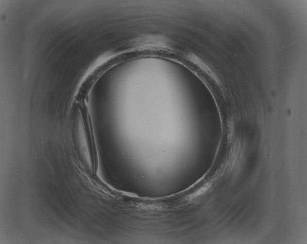 X0000081471021200701121414