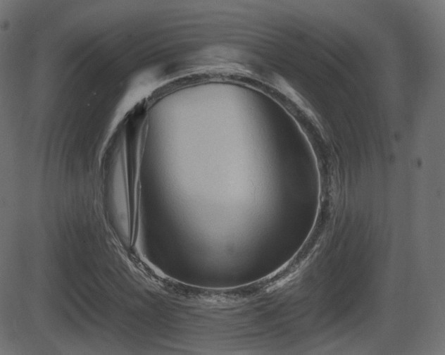X0000081471022200701121414