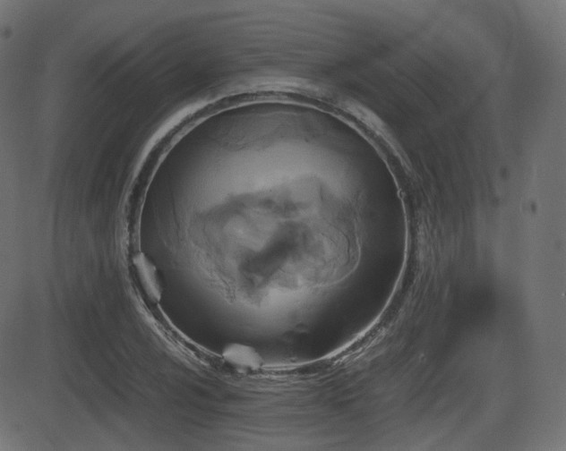 X0000081471024200701121414