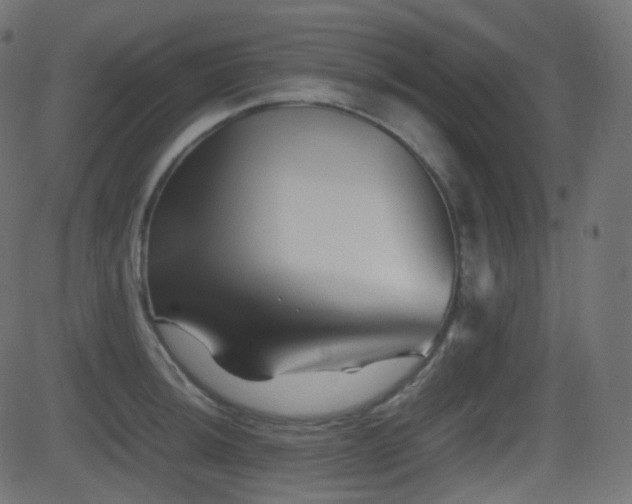 X0000081471044200701121414