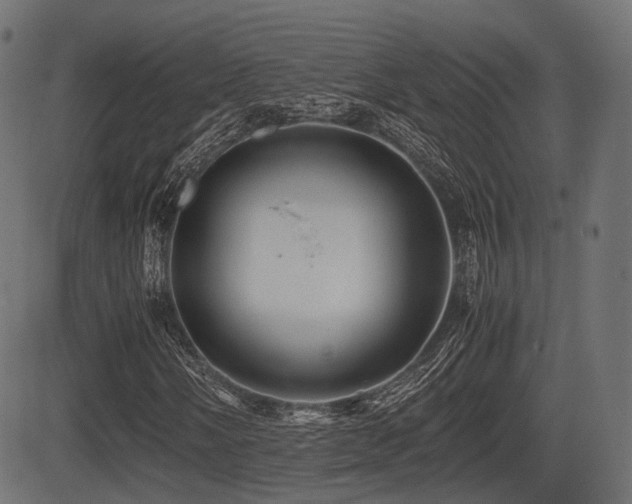 X0000081471058200701121413