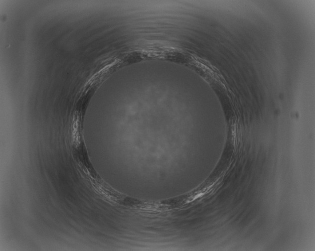 X0000081471060200701121413