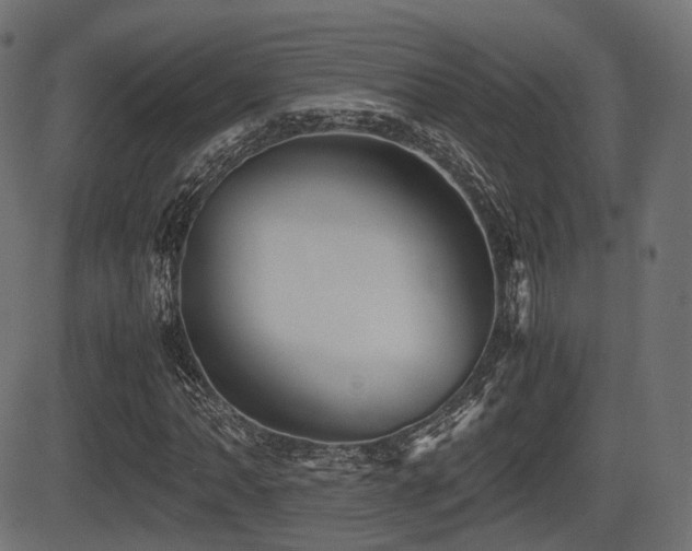 X0000081471062200701121413