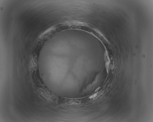 X0000081471063200701121413