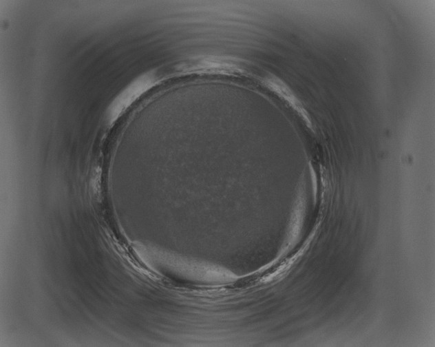 X0000081471066200701121413