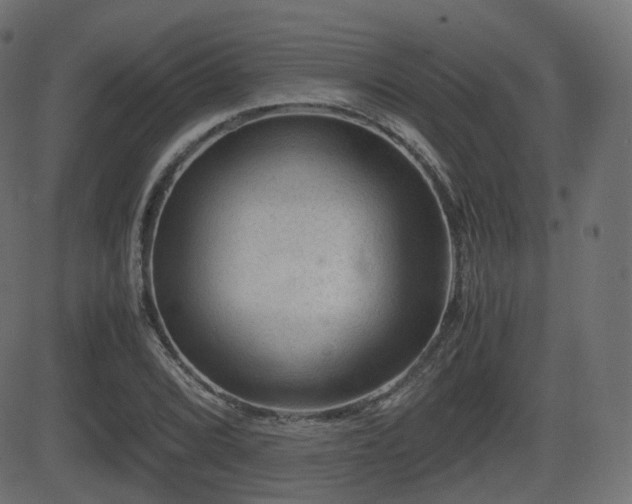 X0000081471072200701121413
