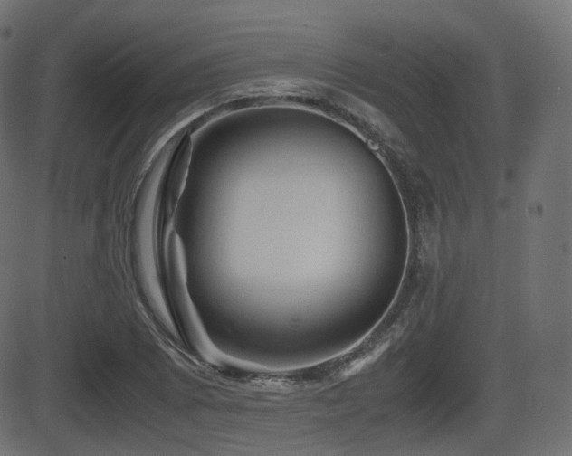 X0000081471073200701121413