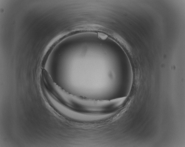X0000081471085200701121413