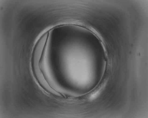 X0000081471093200701121413